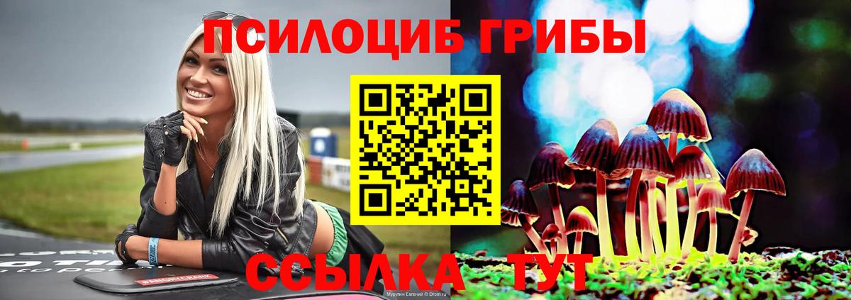 Великий Устюг  хочу наркоту  Вход с VPN  Псилоцибиновые грибы мухоморы 